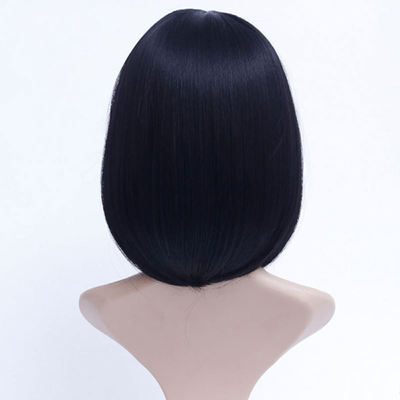 Perrucca per capelli sintetici lunghi e dritti con pizzo davanti capelli morbidi e lucidi