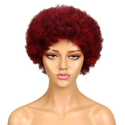 Cuticule di capelli umani indiani crudi allineati taglio da fantoccio parrucche afro ricci GS forniture 250g-450g